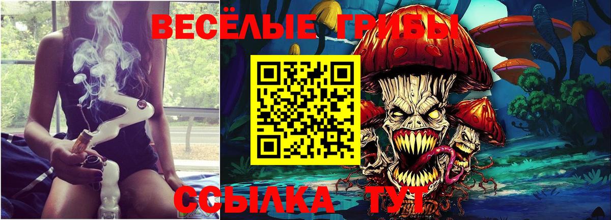 Малоярославец  Галлюциногенные грибы Cubensis  Вход с VPN  Галлюциногенные грибы GOLDEN TEACHER 