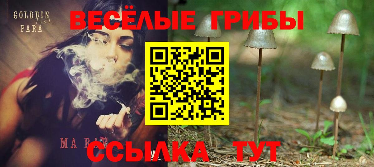 Псилоцибиновые грибы мицелий Малоярославец